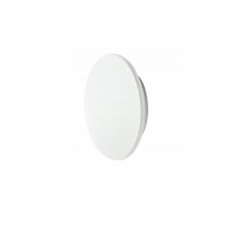 ANCONA S WHITE