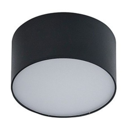 MONZA R 22 CCT + PILOT  Champagne