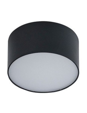 MONZA R 22 CCT + PILOT  Champagne