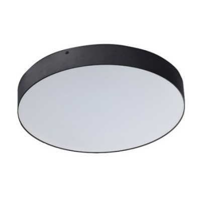 MONZA R 30 CCT + PILOT  Champagne