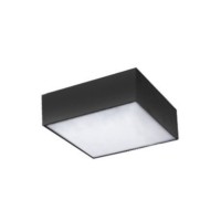 MONZA S 22 CCT + PILOT  Champagne