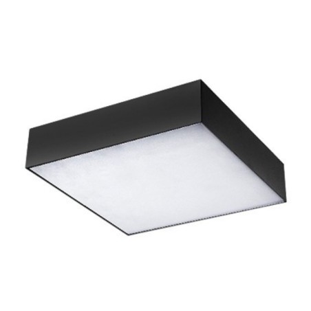 MONZA S 40 CCT + PILOT  Champagne