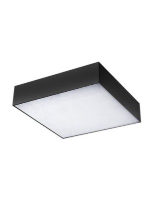 MONZA S 40 CCT + PILOT  Czarny