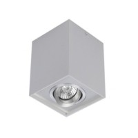 Eloy 1 Jasny Szary BGR / Aluminium