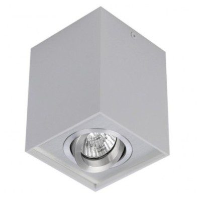 Eloy 1 Jasny Szary BGR / Aluminium