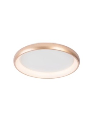 ANTONIO TOP 41 CCT CO + REMOTE CONTROL Złoty / biały