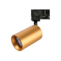 EIGER TRACK 3Line Złoty