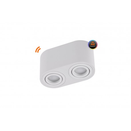 BRANT 2 ROUND SMART WIFI SET