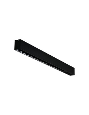 LINELIO POINTS 67 CCT DIMM