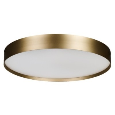 RANT 50 CCT SWITCH DIMM Złoty