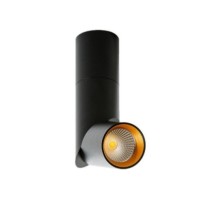 SANTOS  Czarny / Złoty