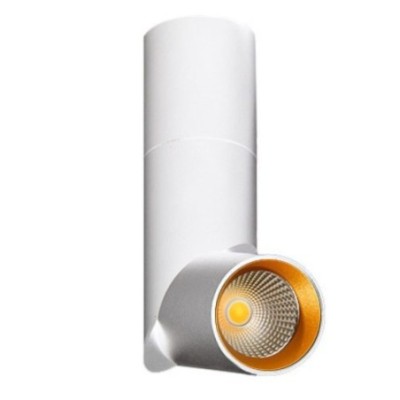 SANTOS  Biały / złoty