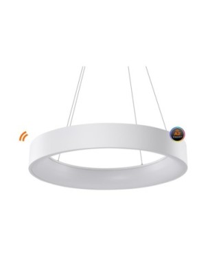 Solvent R 110 PENDANT SMART WIFI + REMOTE CONTROL