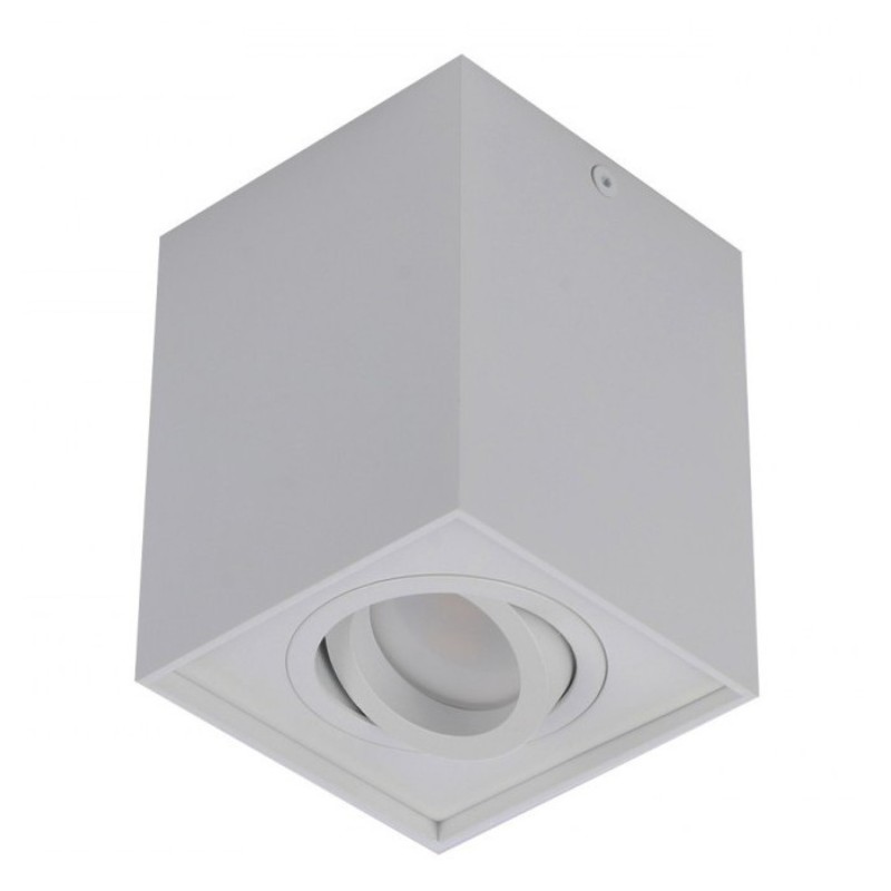 Eloy 1 Jasny Szary BGR