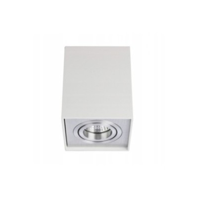 ELOY 1 Biały / Aluminium