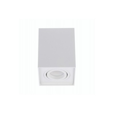 ELOY 1 Biały / Biały