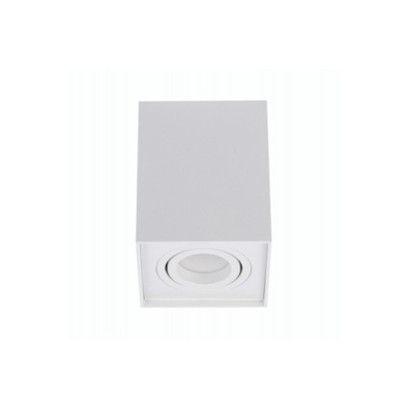 ELOY 1 Biały / Biały