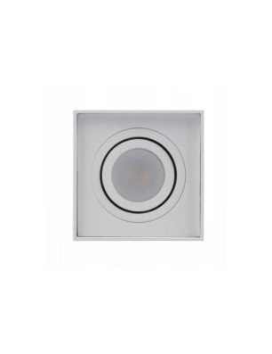 ELOY 1 Biały / Biały