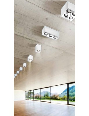 Nino 2  Biały / Aluminium