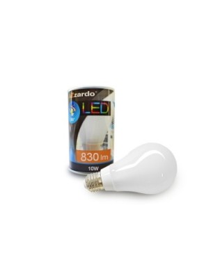 Żarówka LED 10W E27 