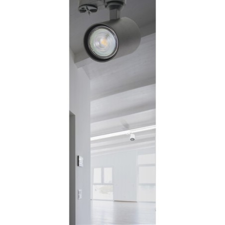 EXO TRACK 3LINE Biały