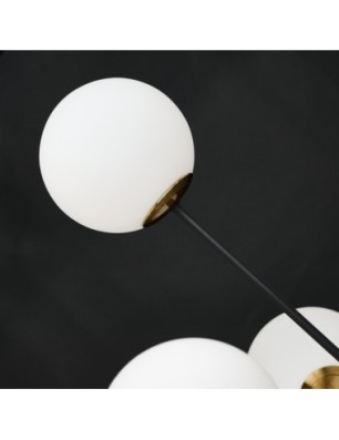 OVIEDO 6 Czarny / Złoty