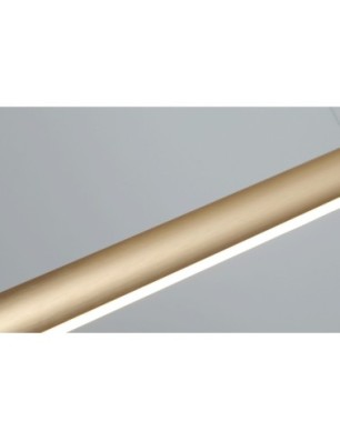 Sandra 3 DIMM Złoty