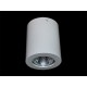 Lampa techniczna Boris White 