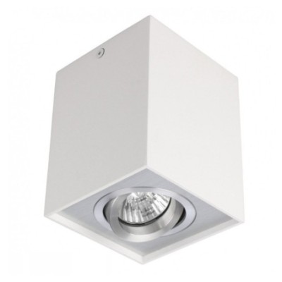 ELOY 1 Biały / Aluminium