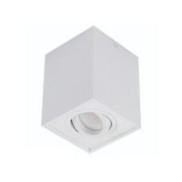 ELOY 1 Biały / Biały