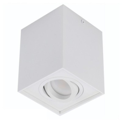 ELOY 1 Biały / Biały