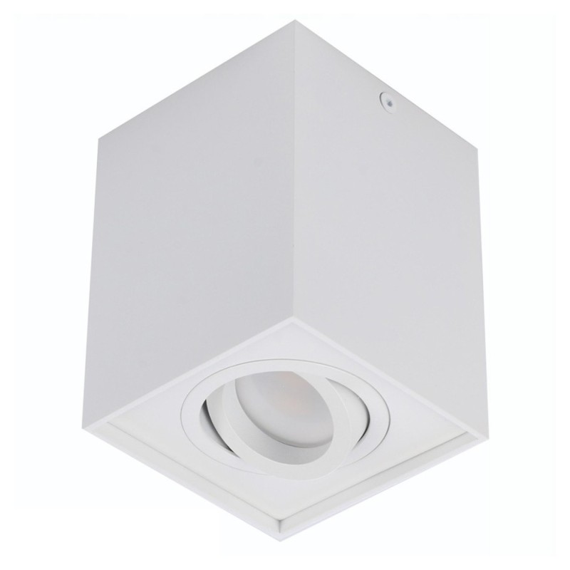 ELOY 1 Biały / Biały