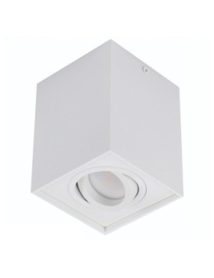 ELOY 1 Biały / Biały