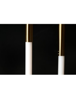 NEXUS Złoty / biały